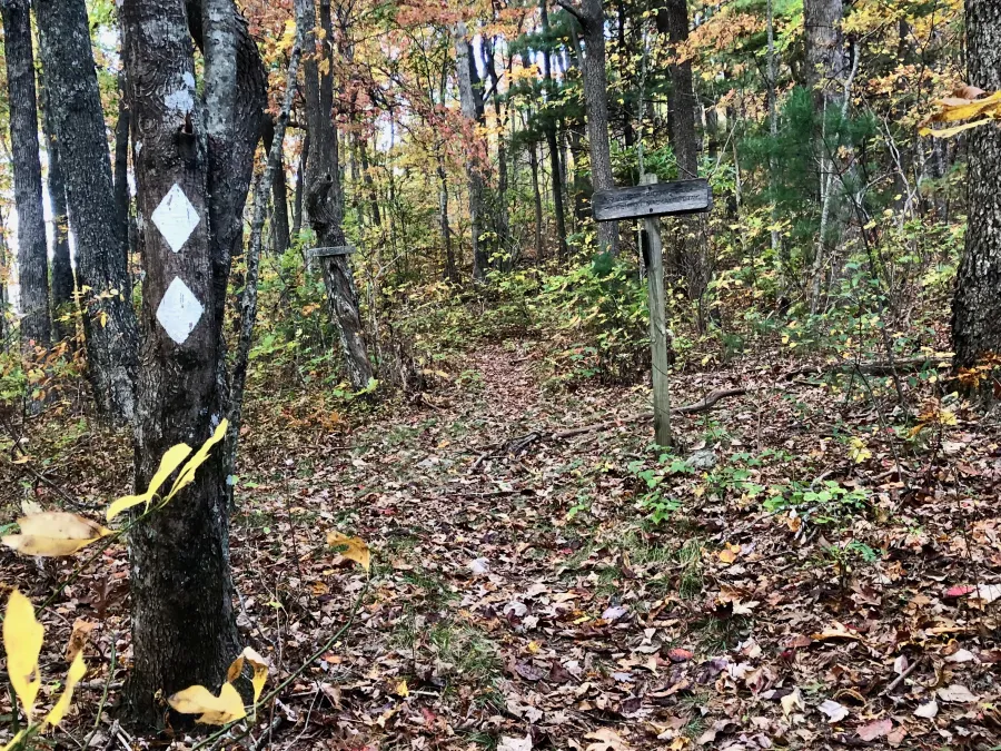 Junction where the Benton MacKaye and Duncan Ridge trails split