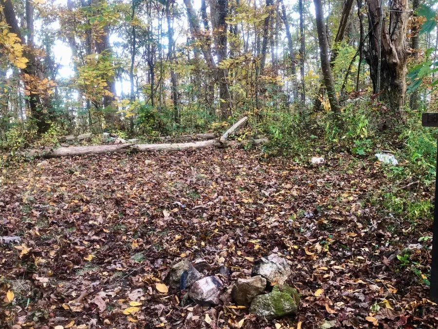 Summit of Licklog Mountain