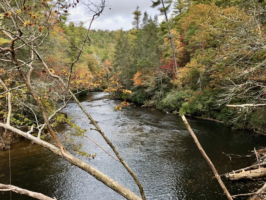 Toccoa River 