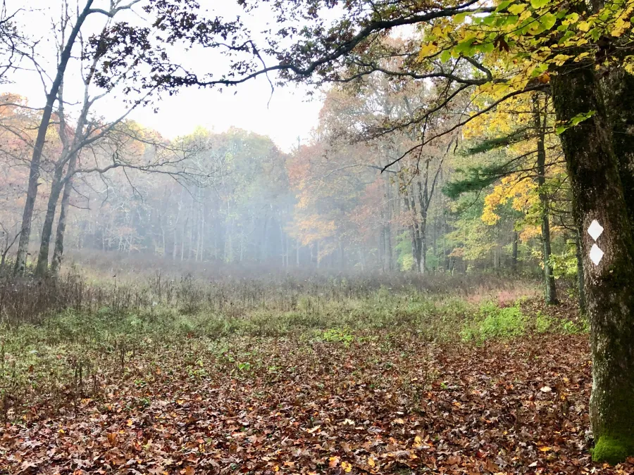 Double Hogpen Gap