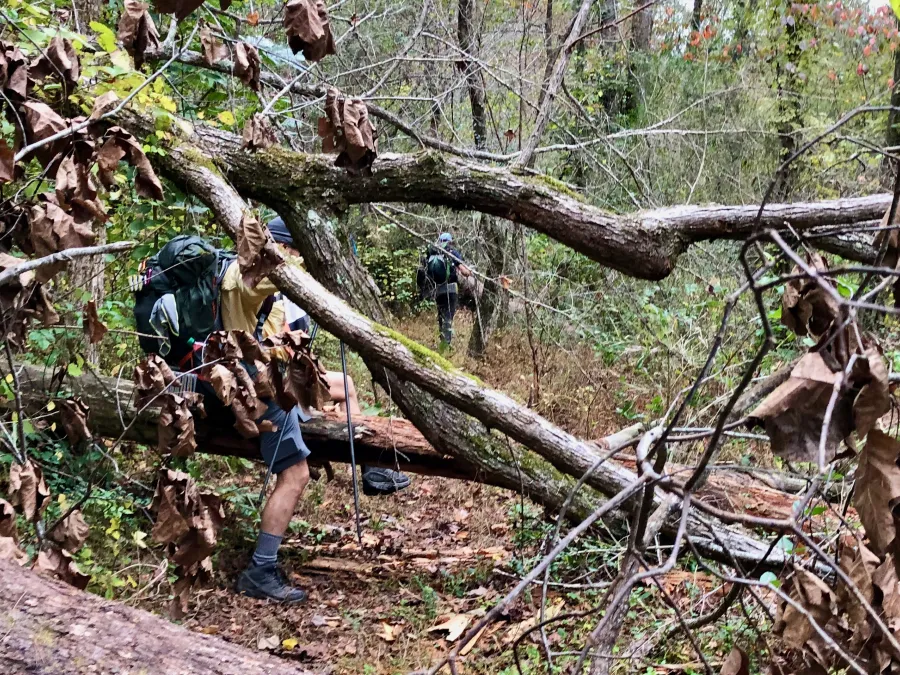 Climbing over a blowdown