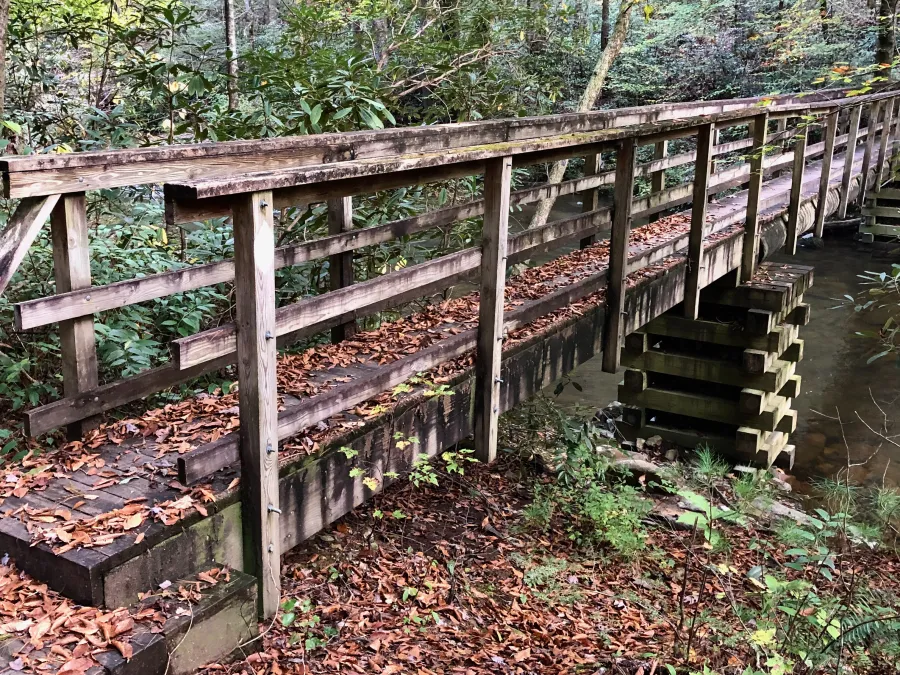 Footbridge over Coker Creek