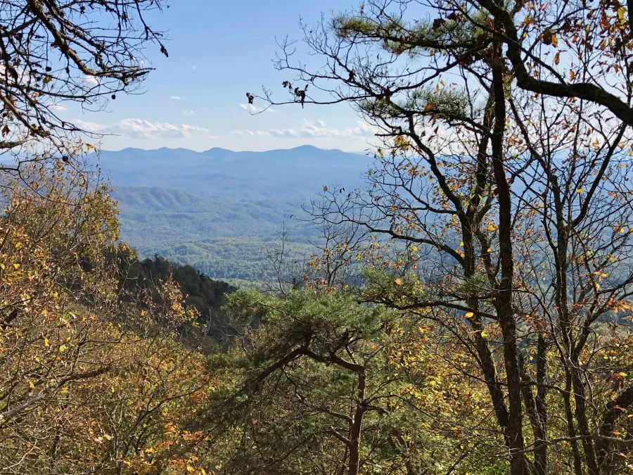 A view from Peels High Top