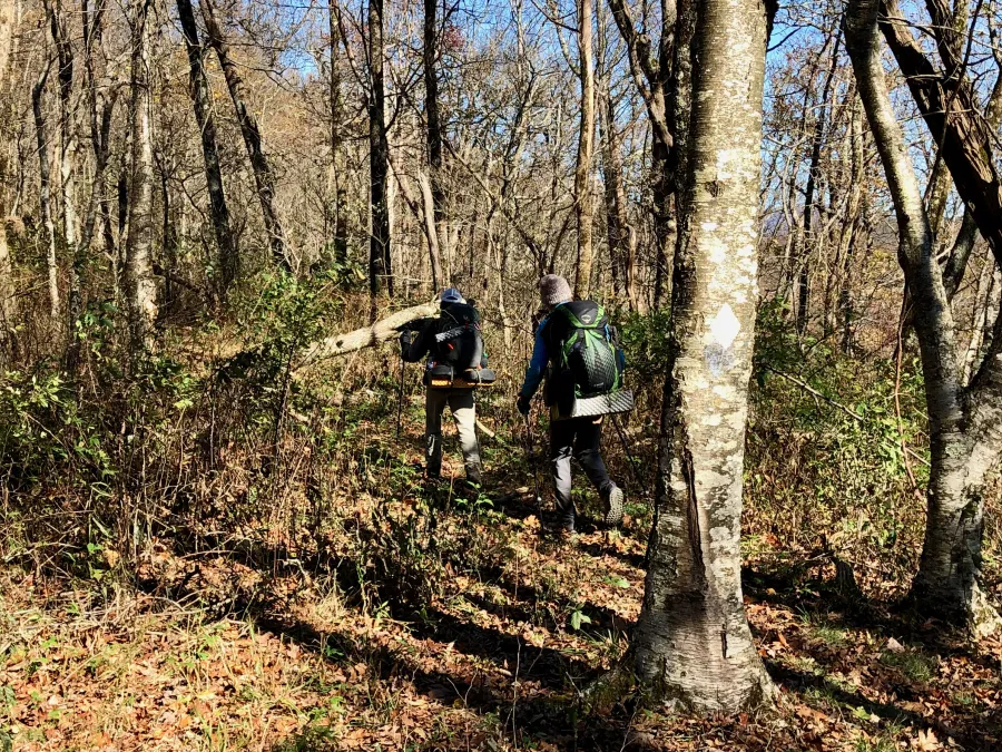 Polecat and Tengo Hambre on the Benton MacKaye Trail