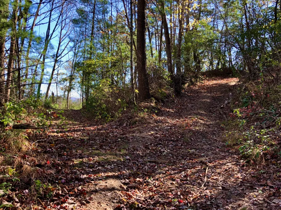 A road switchback