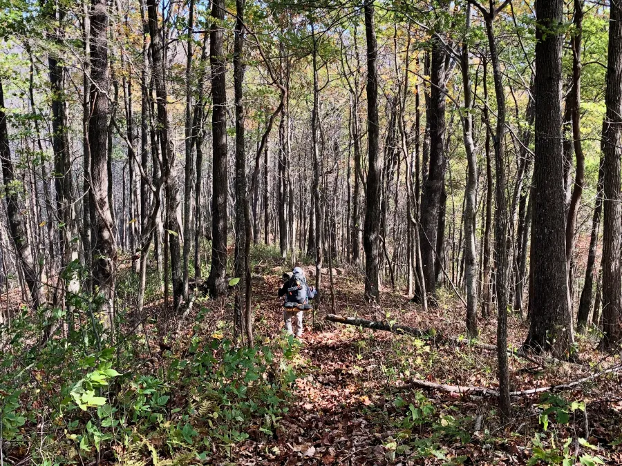 Benton MacKaye Trail