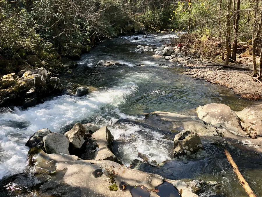 Tellico River