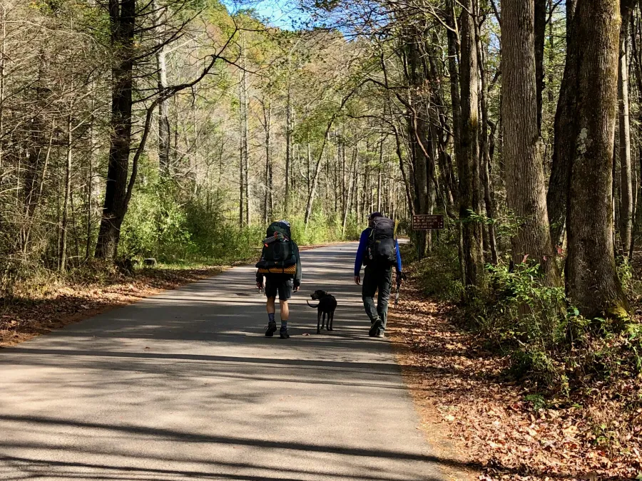 A hunting dog follows Polecat and JA