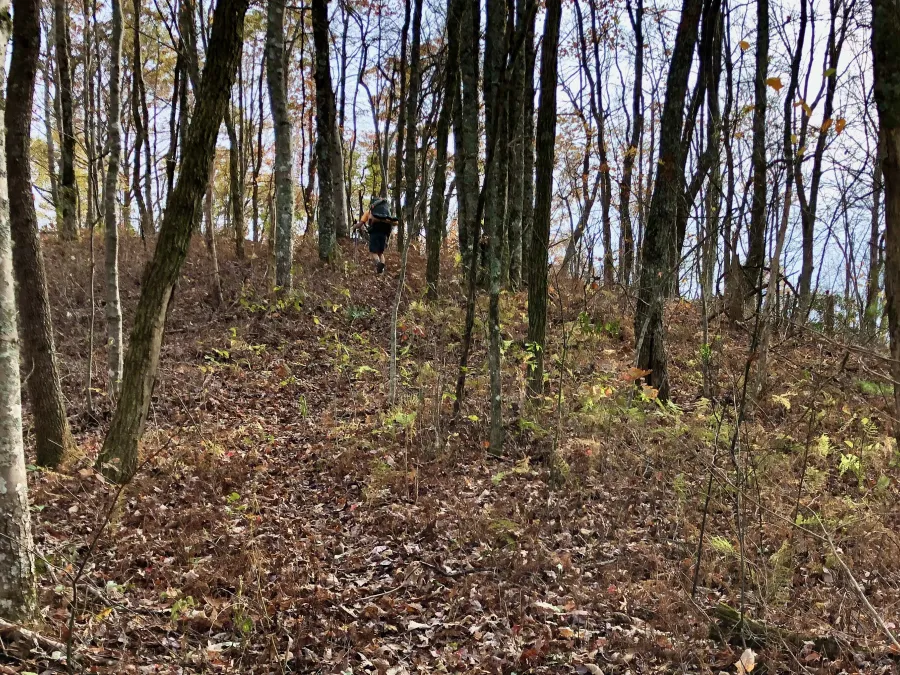 Polecat climbs ahead