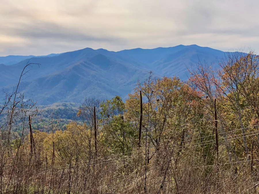 Looking back toward Hooper Bald
