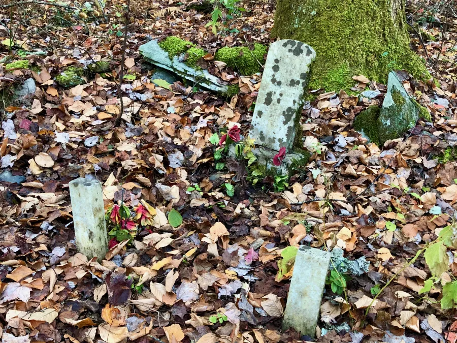 Nichols Cove gravesite