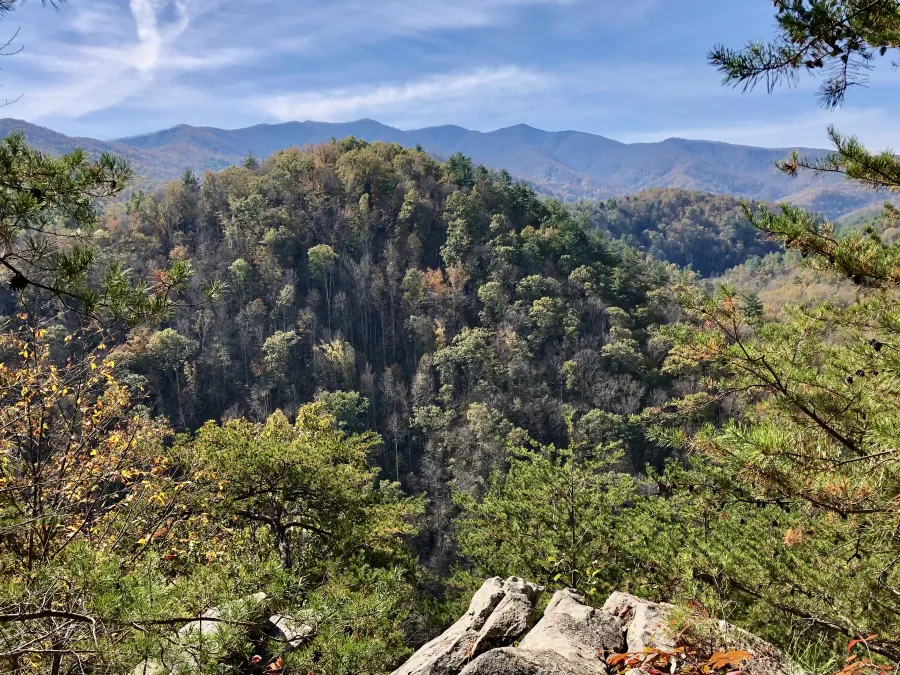 A view above the Cheoah River