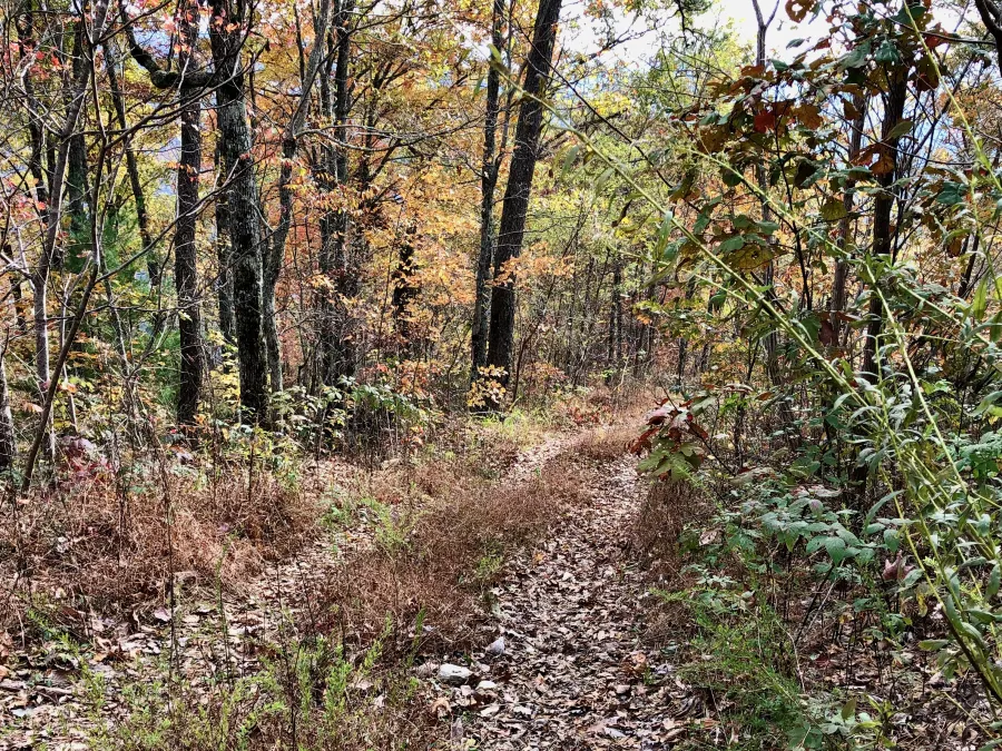 An old road