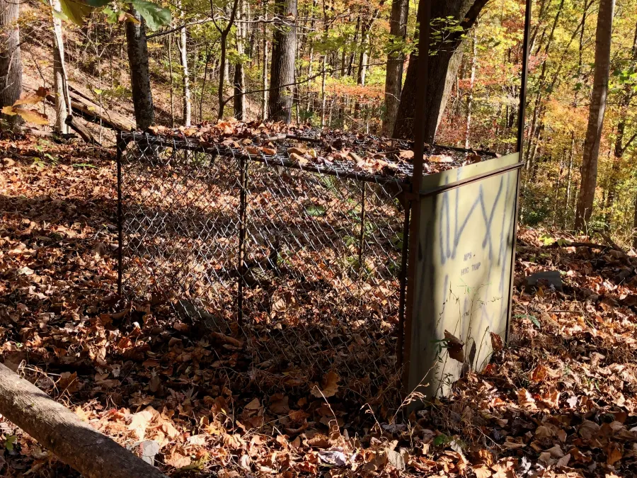 Feral hog trap in Great Smoky Mountains National Park