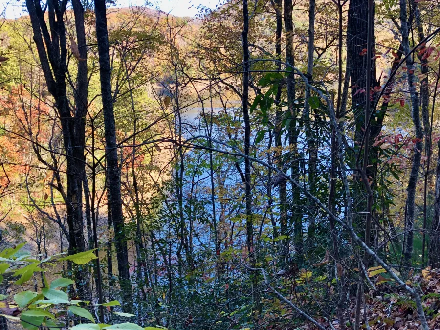 An inlet of Fontana Lake