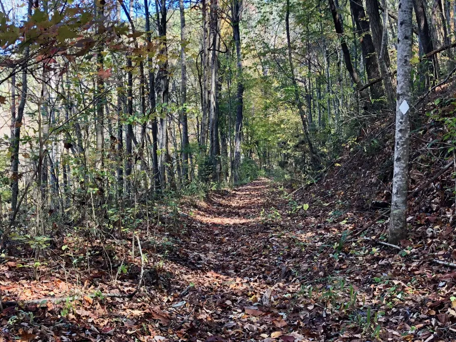The trail descends