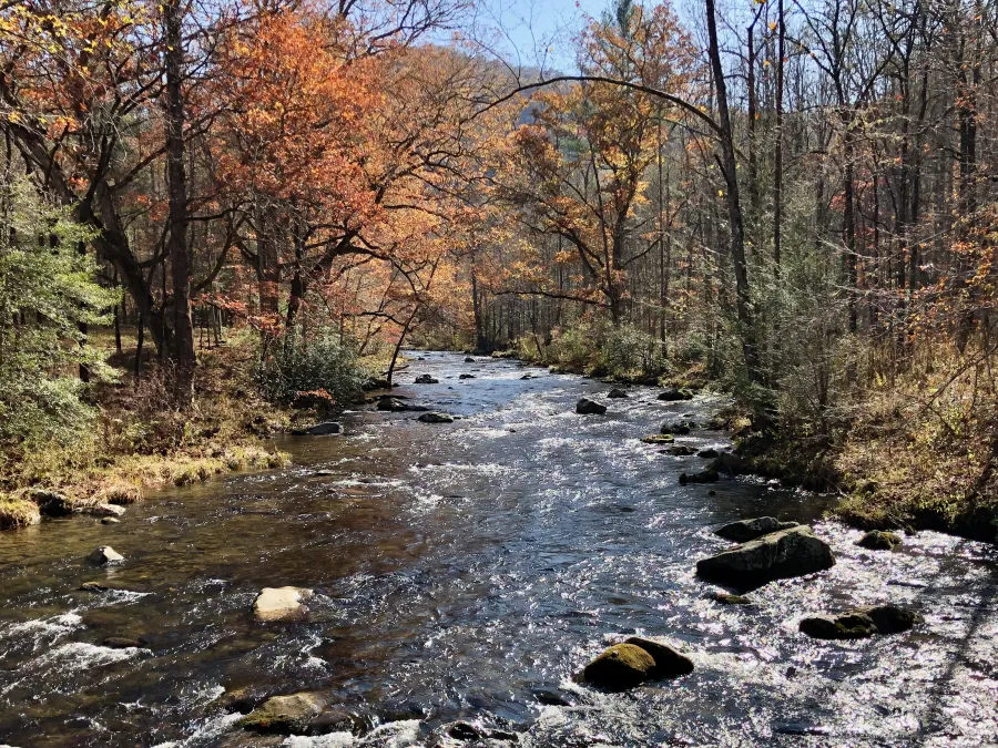 Hazel Creek