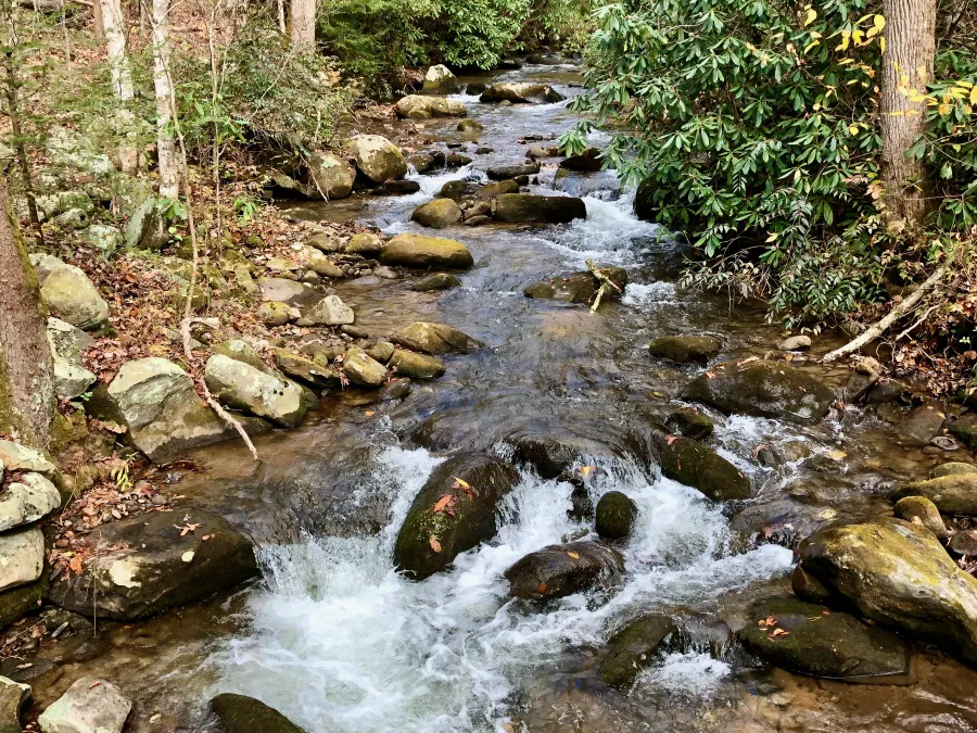 Chambers Creek