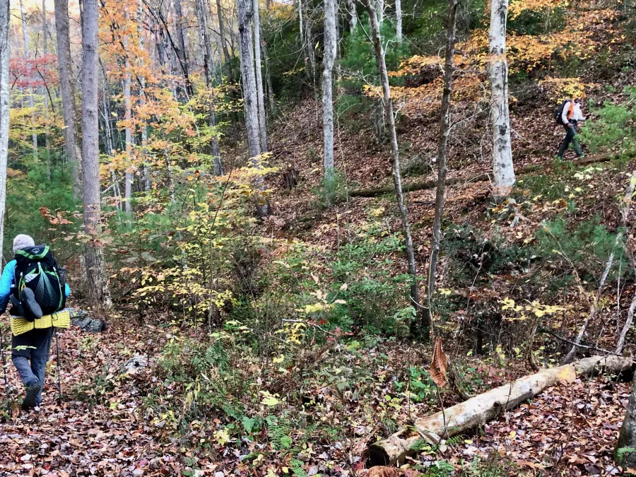 Teng Hambre and Just Awesome return to the trail