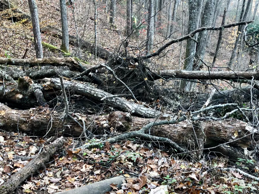 A blowdown mess