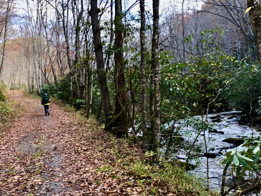 Noland Creek Trail