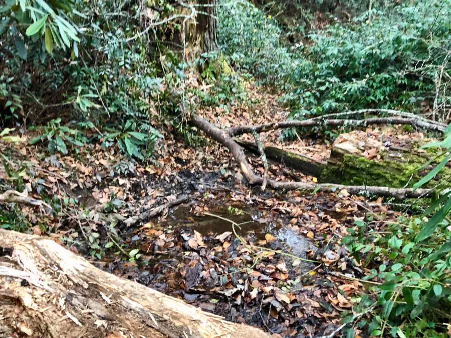 A stream crossing