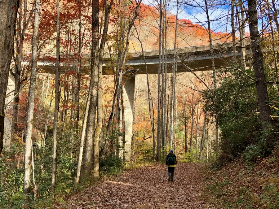 Noland Creek Trail