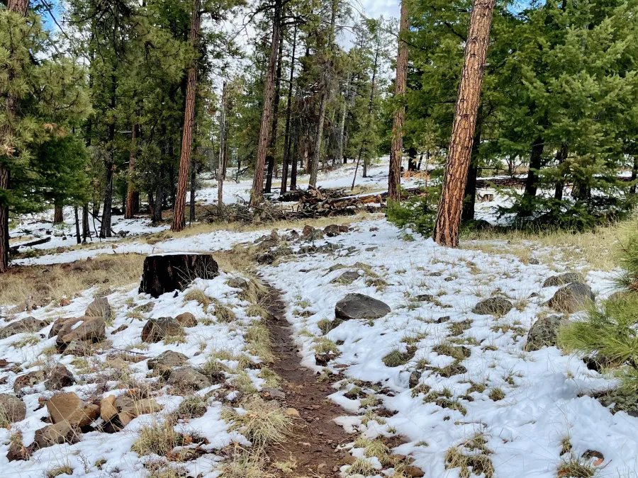 The snow begins to melt