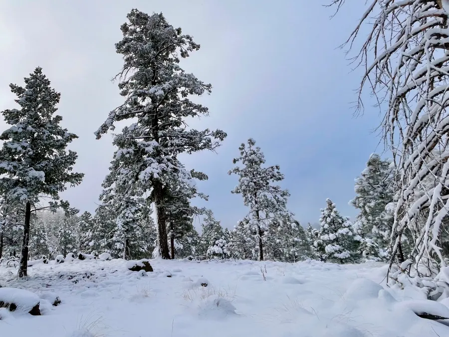 Snow is everywhere