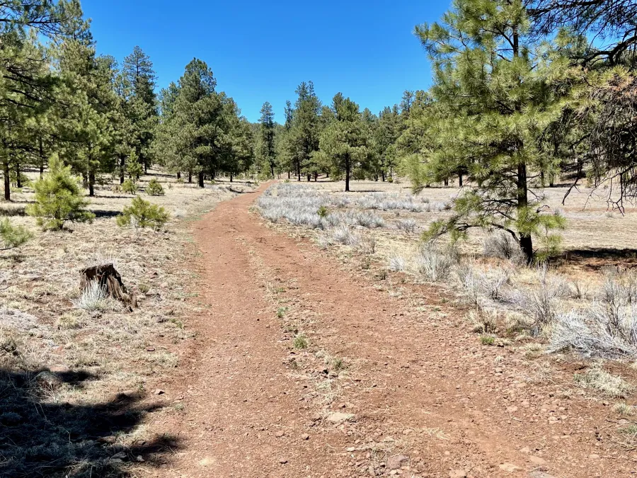 Walking on the Pie Town Alternate
