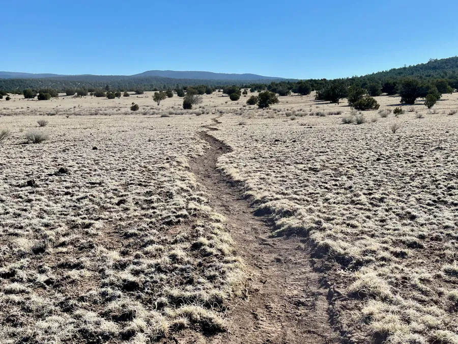 A squiggly footpath