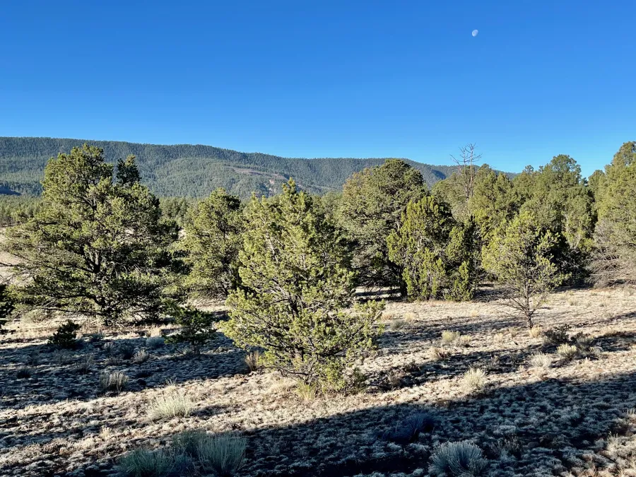 Wagontongue Mountain