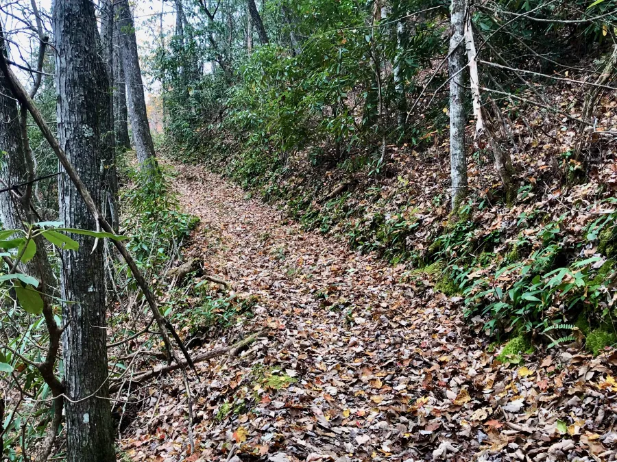 Deep Creek Trail