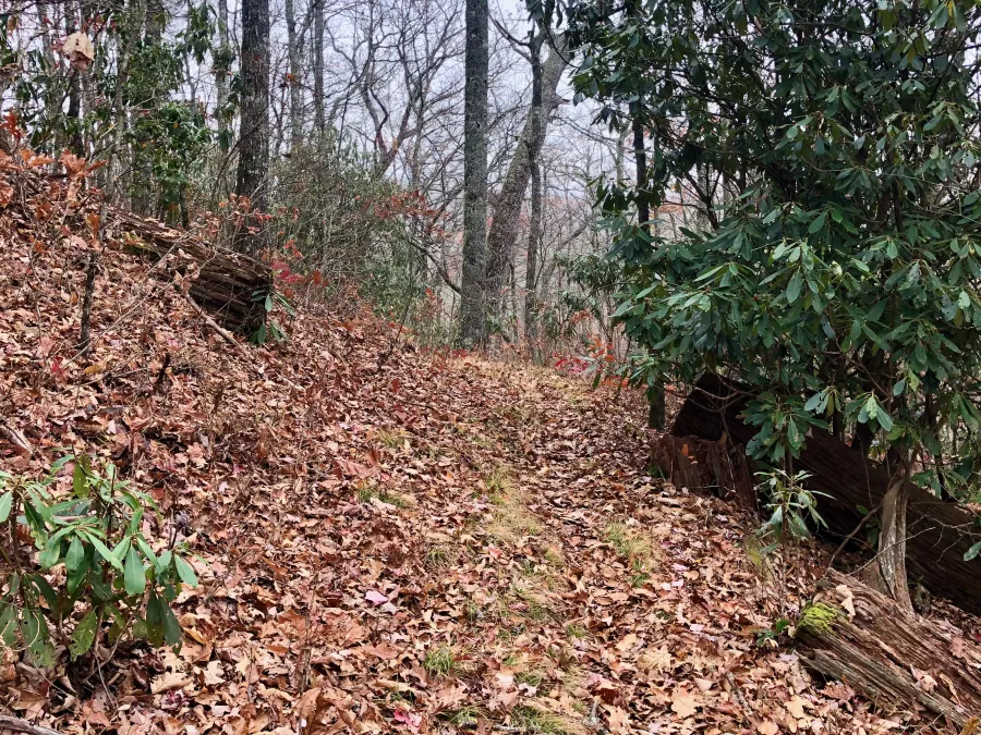 Sunkota Ridge Trail