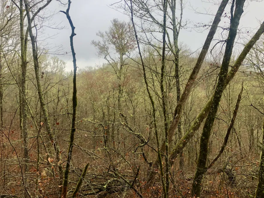 A view ahead toward Hughes Ridge