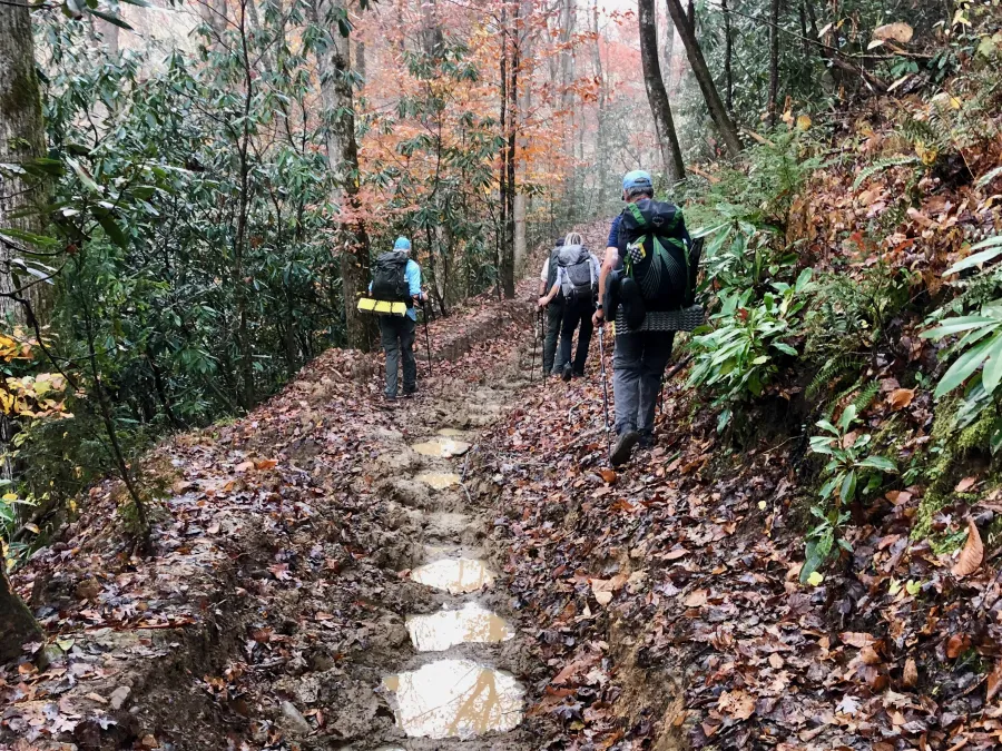 A string of mud puddles on the trail