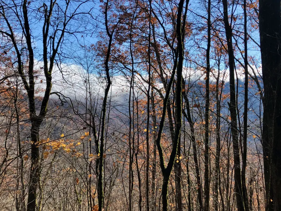 Clouds over Shanty and Spruce Mountains