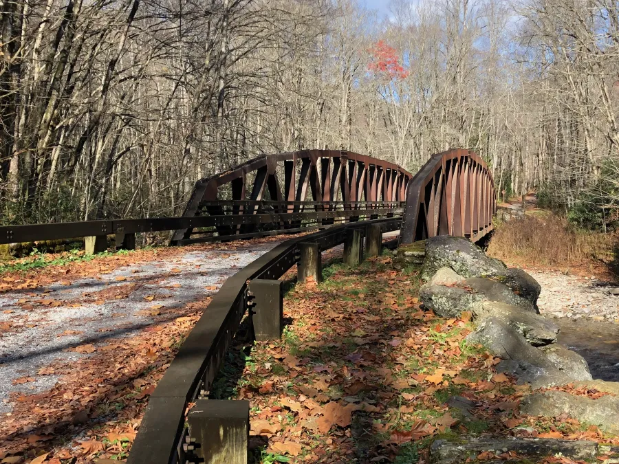 A bridge over Straight Fork at Beech Gap 