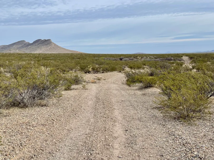 The CDT on a gravel road