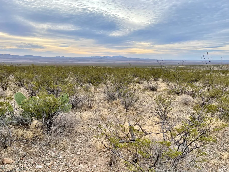 Looking across Hachita Valley