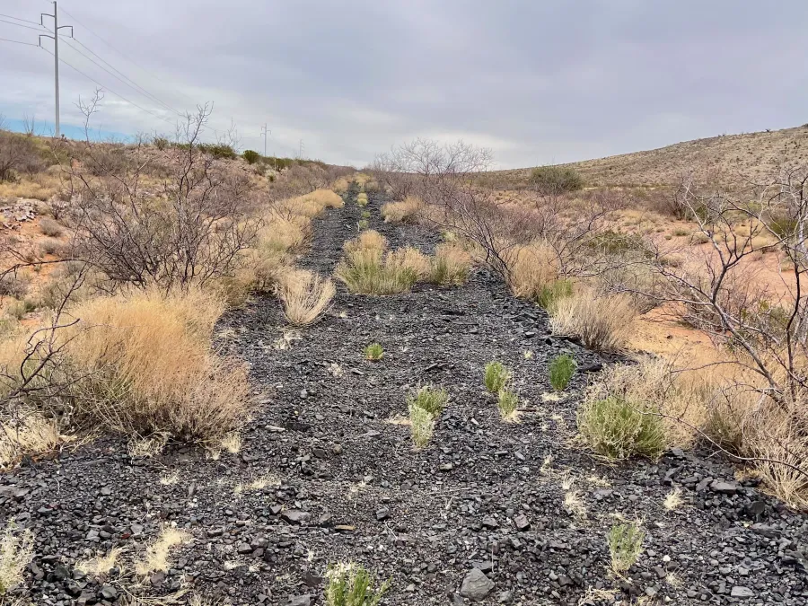 An abandoned railbed