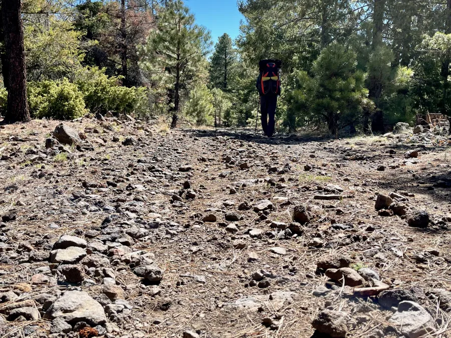 The road down Mangus Mountain was filled with rocks