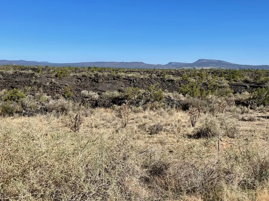 A view of the lava field 