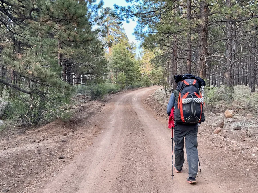 Zigzag walks on the Mt. Taylor Alternate 