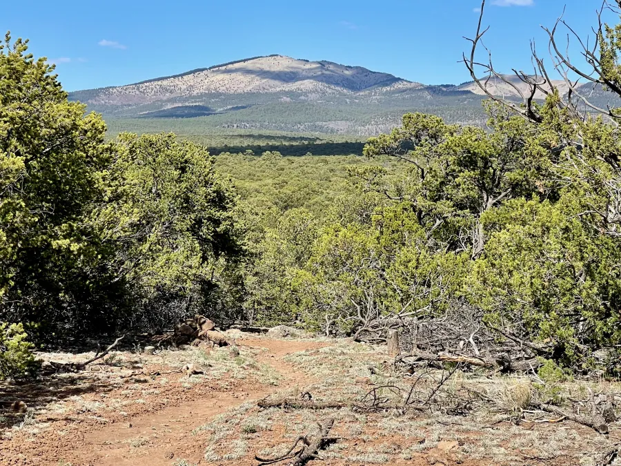 Another view of Mt. Taylor 