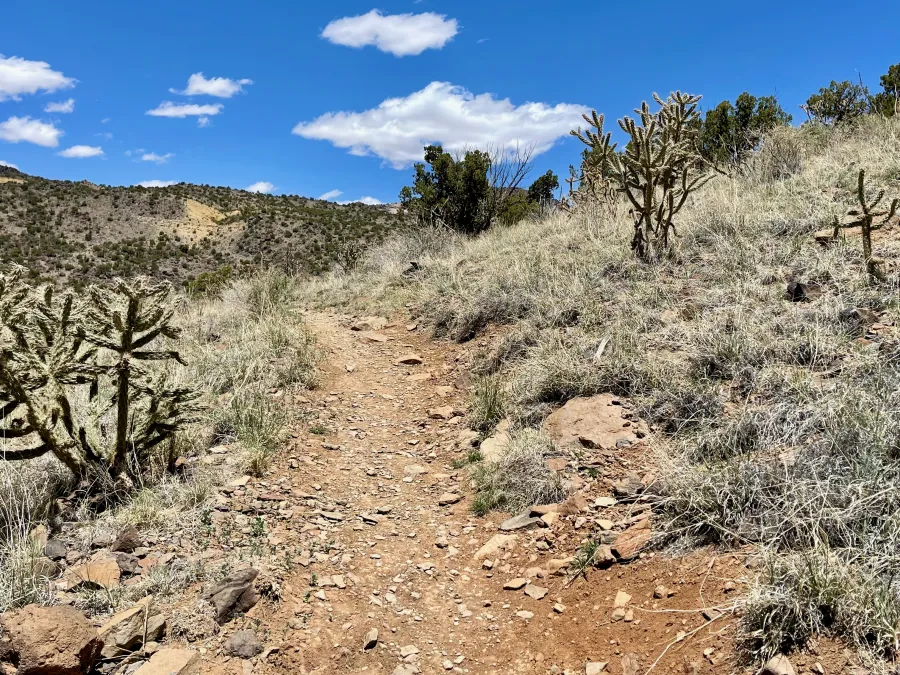 The trail begins to climb