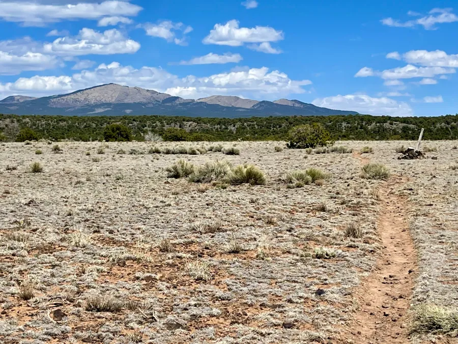 A view of Mt. Taylor 