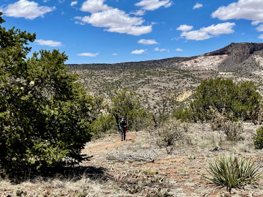 Zigzag climbs up the trail