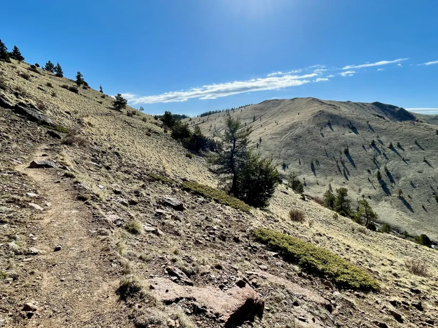 A bare mountain slope
