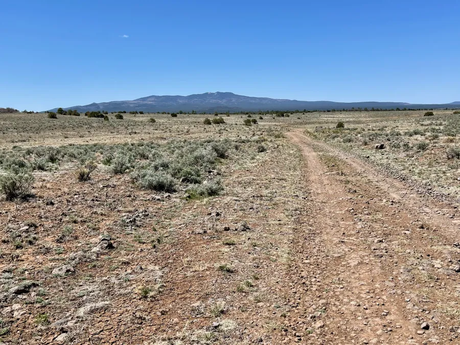 Looking back to see Mt. Taylor